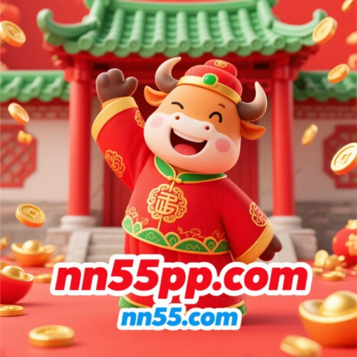 nn55.com